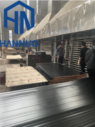 Full Core Film Faced Sheet For Construction Project